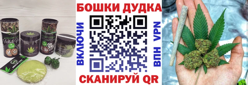 Canna-Cookies конопля  купить наркотик  Микунь 