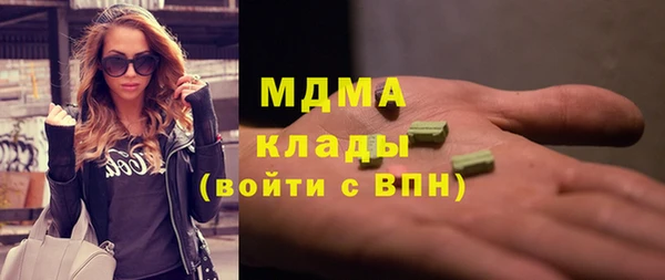 индика Карпинск