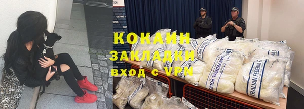 spice Абаза