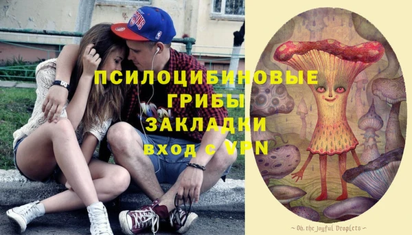 spice Абаза