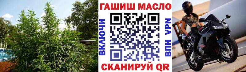 ссылка на мегу как зайти  продажа наркотиков  Микунь  Дистиллят ТГК концентрат 