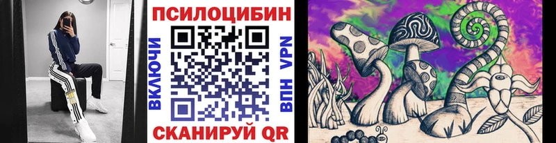 Псилоцибиновые грибы MAGIC MUSHROOMS  omg ССЫЛКА  Микунь  продажа наркотиков 